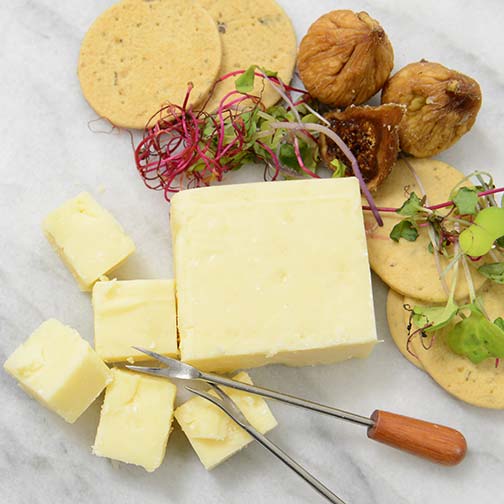 Prairie Breeze Cheddar- Precut Photo [2]