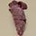 Cervena Elk Tenderloin | Gourmet Food Store Photo [2]