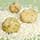 Fresh White Truffles For Sale | Gourmet Italian Alba Truffle Photo [3]