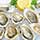 Emerald Cove Oysters Photo [1]