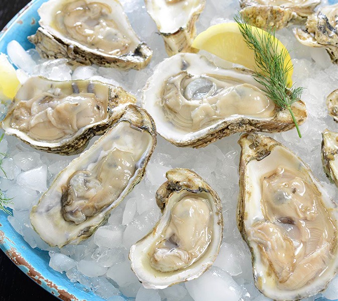 Raw shucked oysters on a tray with ice and lemon, photo by Gourmet Food Store