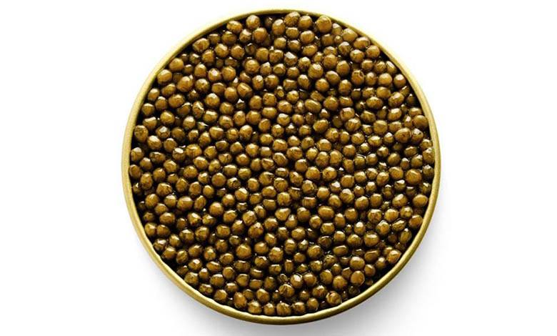 Kaluga sturgeon golden caviar in a can, photo by Gourmet Food Store