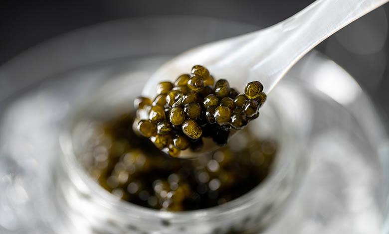 How To Make Caviar Photo [1]